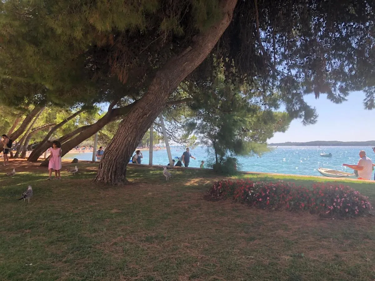Istrian Stone House In The Heart Of The Beautiful Fishing Village Fazana - Only Few Steps From The Sea And The Wonderful Beach - Incl Plasma-Quad-Plus-Filter Against C O V I D アパート